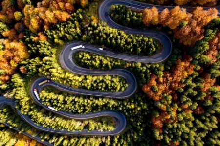 Aerial view of autumn forest road